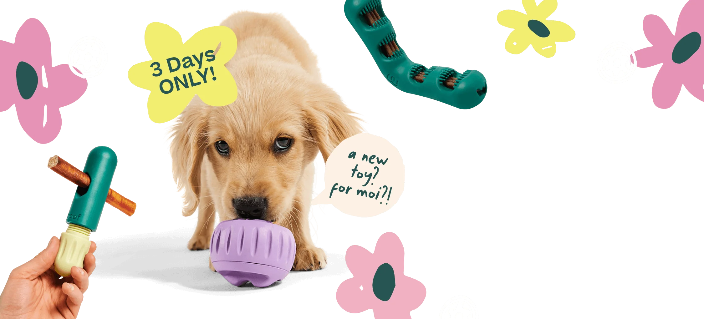 Unleash Endless Playtime Fun